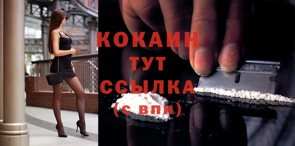 прущие грибы Балахна