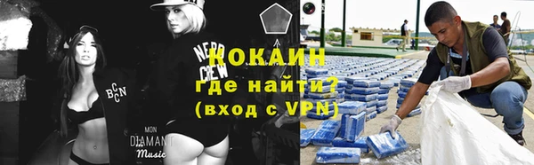 прущие грибы Балахна