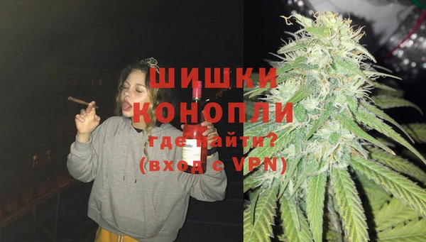 прущие грибы Балахна